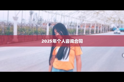 2025年个人咨询合同