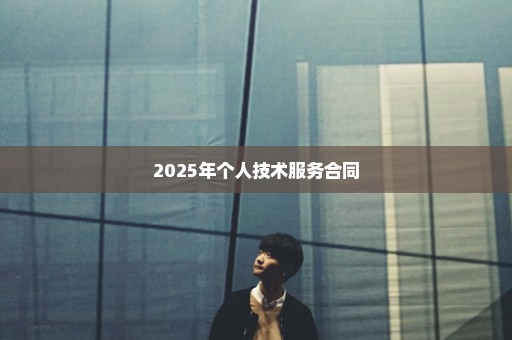 2025年个人技术服务合同