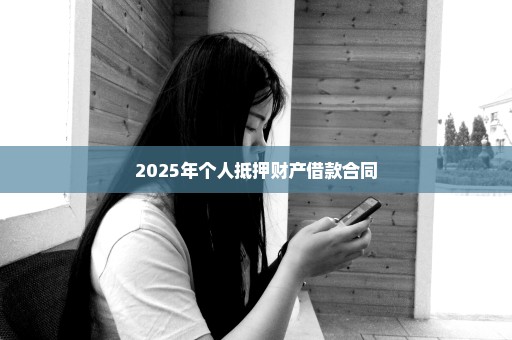 2025年个人抵押财产借款合同