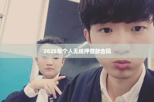 2025年个人无抵押借款合同