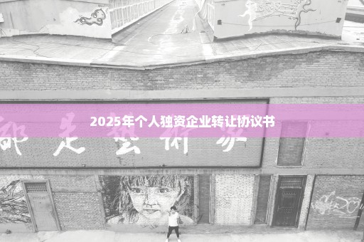 2025年个人独资企业转让协议书