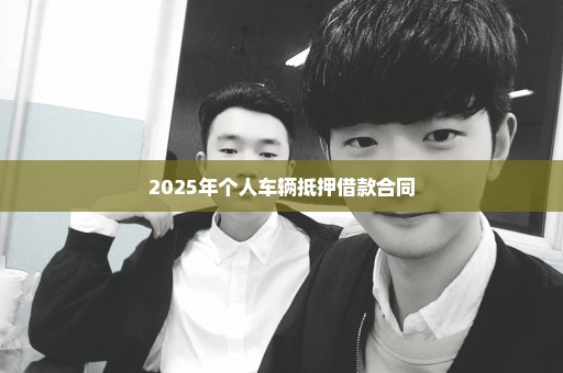 2025年个人车辆抵押借款合同