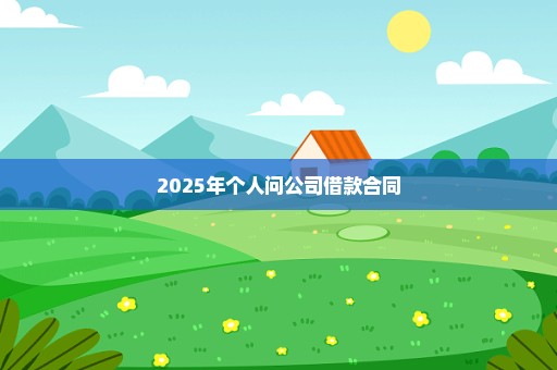 2025年个人问公司借款合同