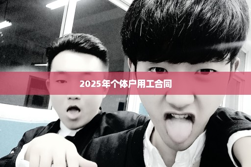 2025年个体户用工合同