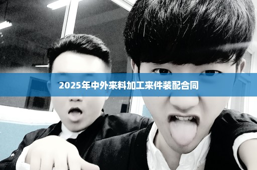 2025年中外来料加工来件装配合同