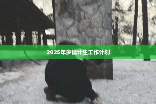 2025年乡镇计生工作计划