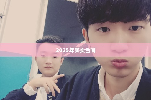 2025年买卖合同
