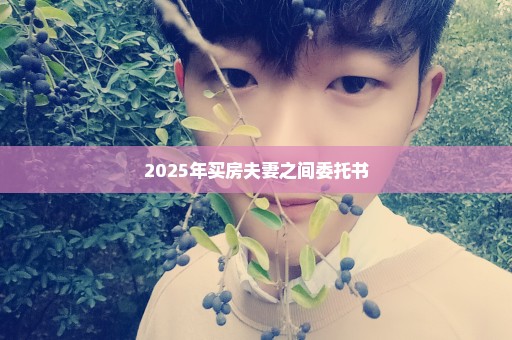 2025年买房夫妻之间委托书
