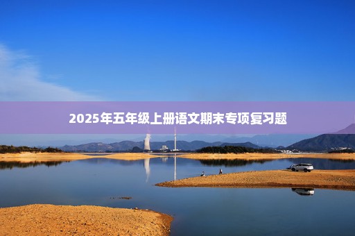 2025年五年级上册语文期末专项复习题