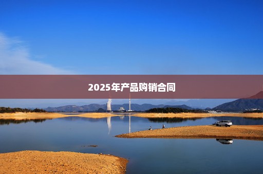 2025年产品购销合同