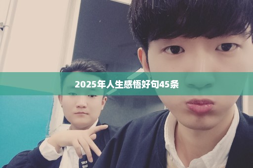 2025年人生感悟好句45条