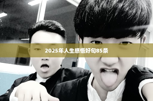 2025年人生感悟好句85条