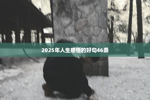 2025年人生感悟的好句46条