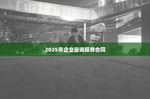 2025年企业咨询服务合同