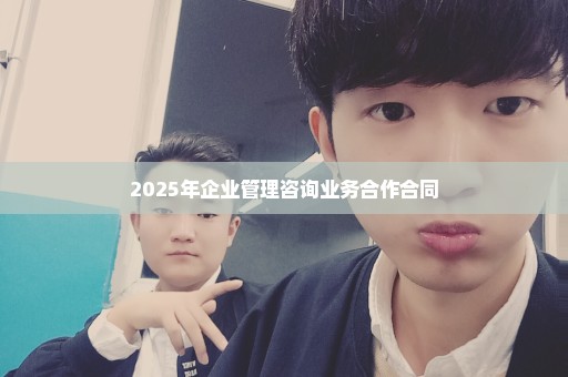 2025年企业管理咨询业务合作合同