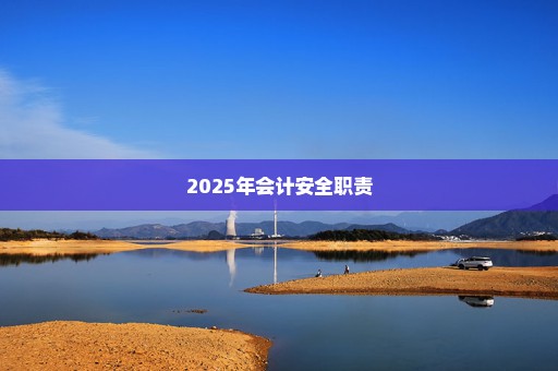 2025年会计安全职责