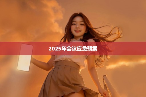 2025年会议应急预案