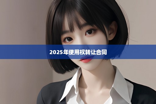 2025年使用权转让合同