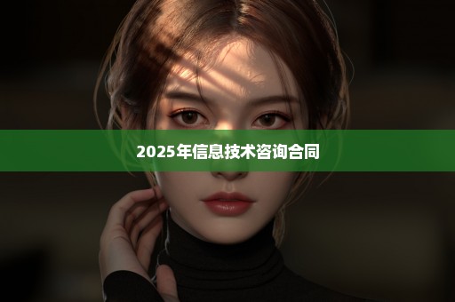 2025年信息技术咨询合同