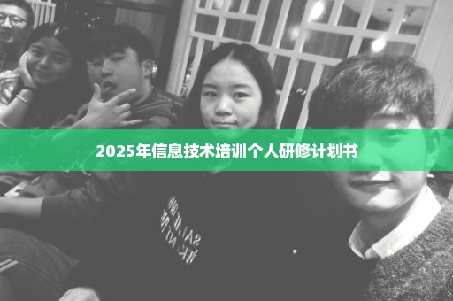 2025年信息技术培训个人研修计划书