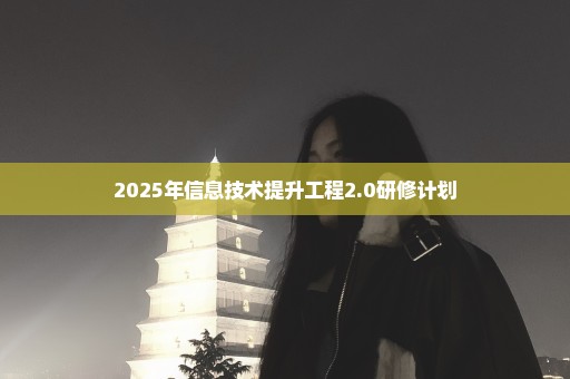 2025年信息技术提升工程2.0研修计划