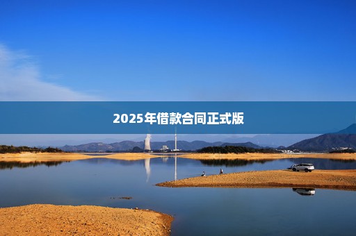 2025年借款合同正式版