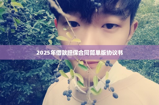 2025年借款担保合同简单版协议书