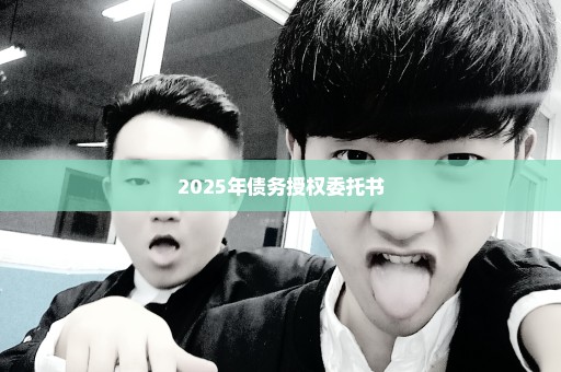 2025年债务授权委托书