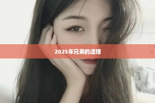 2025年兄弟的遗赠