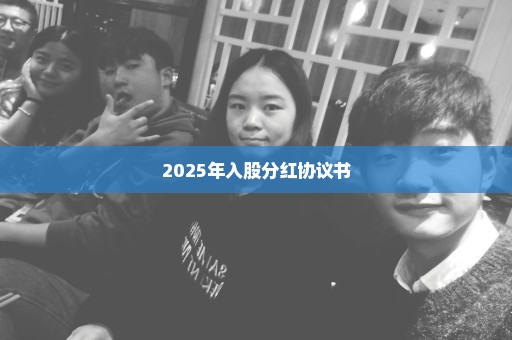 2025年入股分红协议书