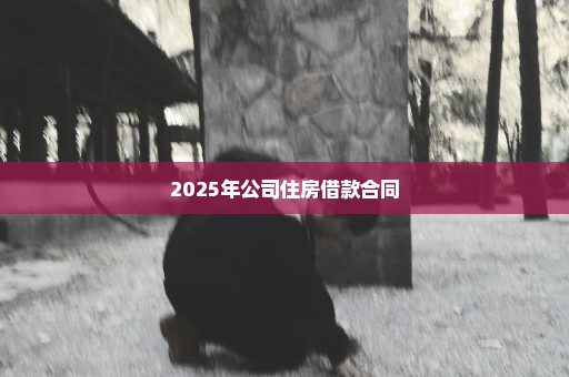 2025年公司住房借款合同