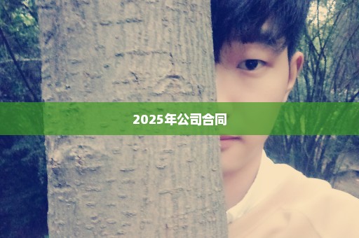 2025年公司合同