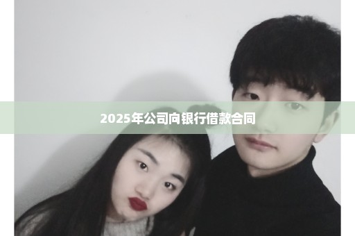 2025年公司向银行借款合同