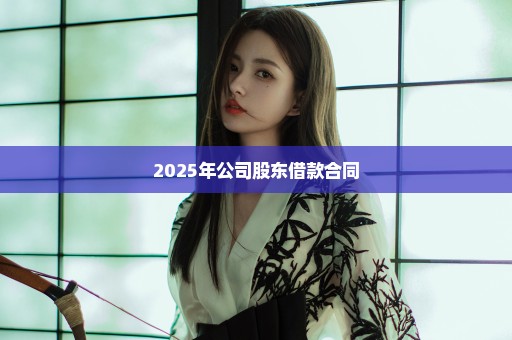 2025年公司股东借款合同