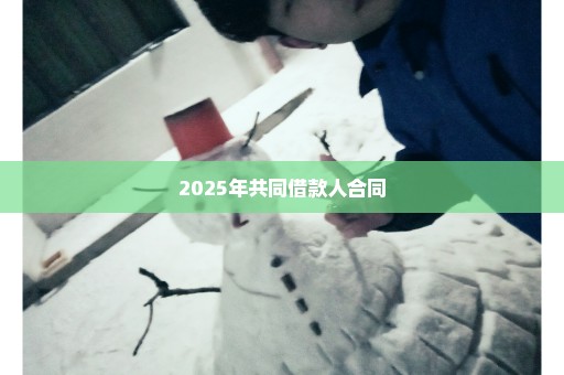 2025年共同借款人合同