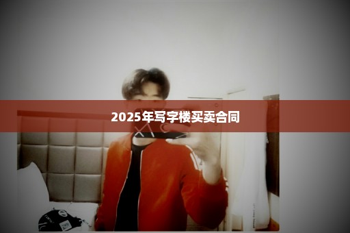 2025年写字楼买卖合同