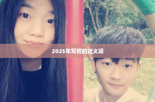 2025年写照的近义词
