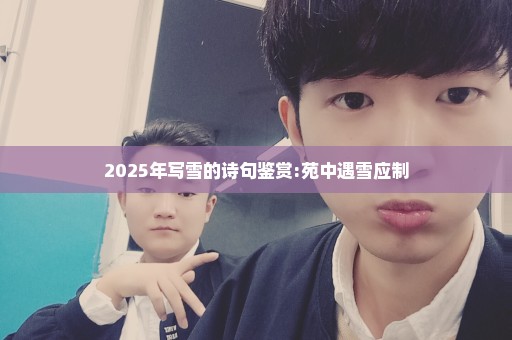 2025年写雪的诗句鉴赏:苑中遇雪应制