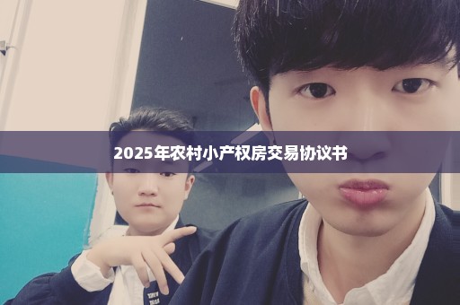 2025年农村小产权房交易协议书