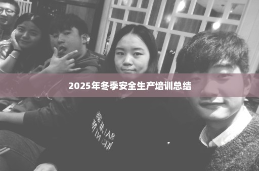 2025年冬季安全生产培训总结
