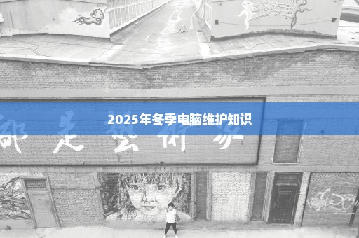 2025年冬季电脑维护知识