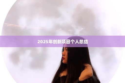 2025年创新项目个人总结
