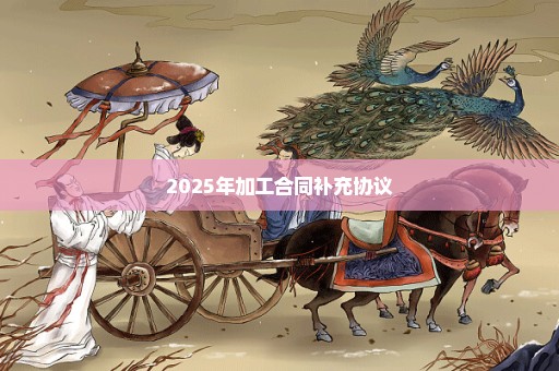 2025年加工合同补充协议