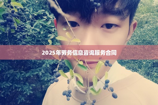 2025年劳务信息咨询服务合同