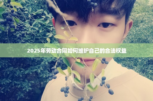 2025年劳动合同如何维护自己的合法权益