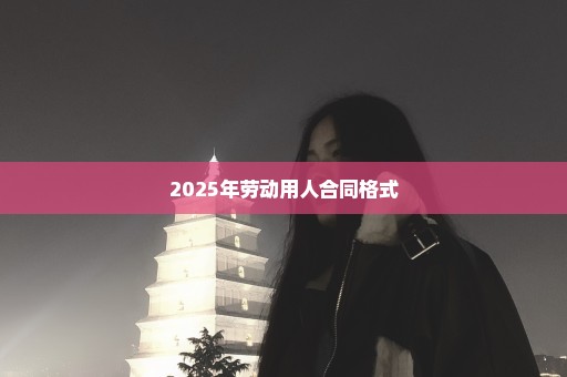 2025年劳动用人合同格式