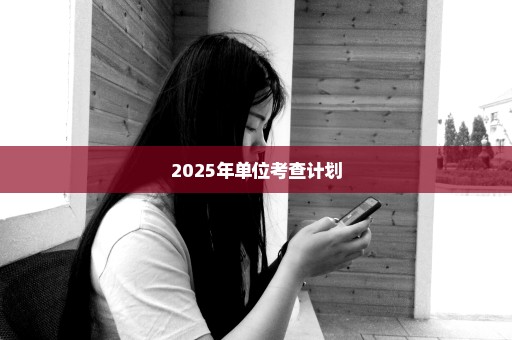 2025年单位考查计划