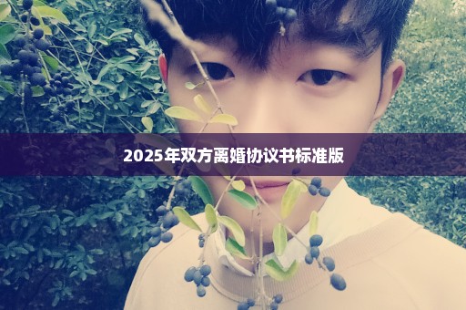 2025年双方离婚协议书标准版