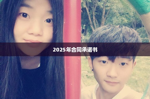 2025年合同承诺书