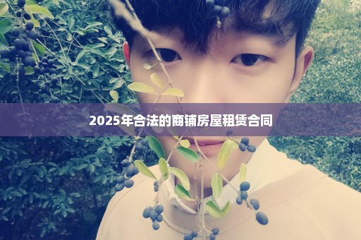 2025年合法的商铺房屋租赁合同